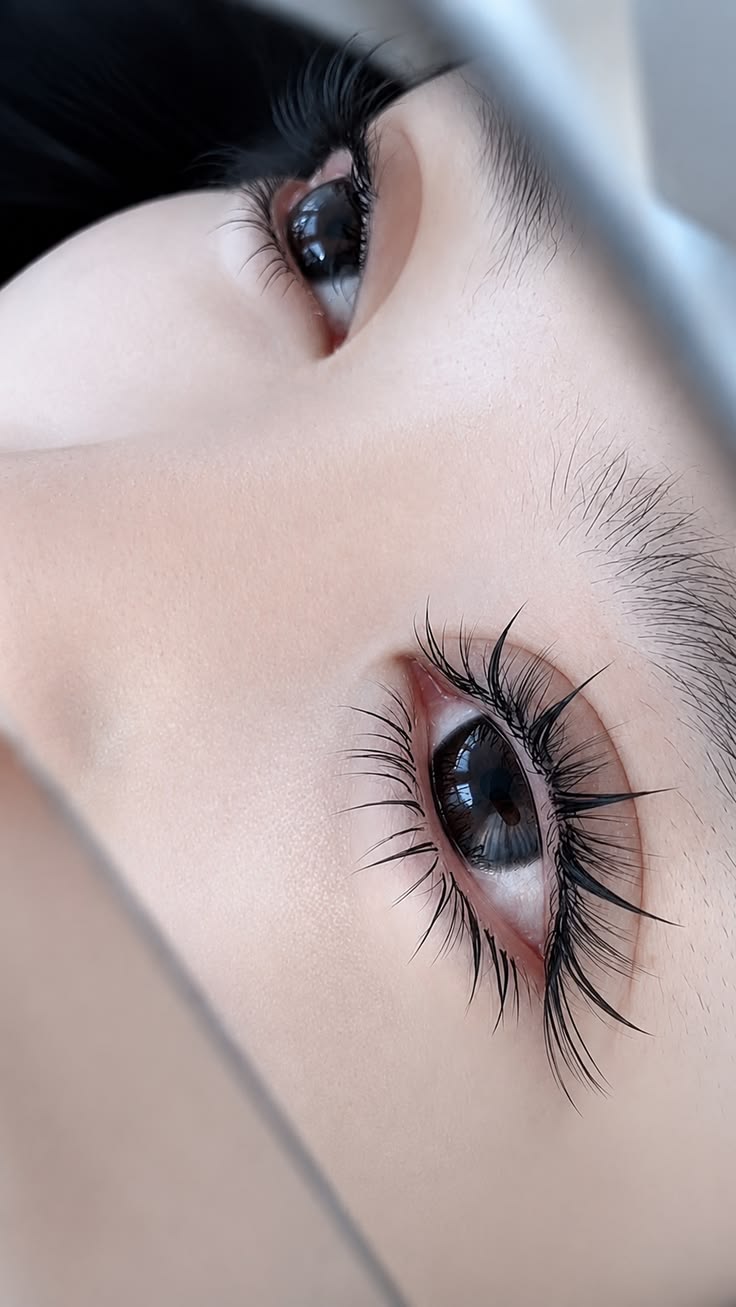 Lash Extension Service